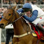 Galileo Poland Storms to Shock Victory in Thrilling Cheltenham Festival Opener