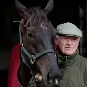 Galopin Des Champs Faces Race Against Time for Cheltenham Gold Cup Defence After Training Setback