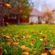 Garden Experts Reveal: 5 Essential Steps to Transform Your Lawn for Spring