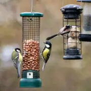 Garden Invasion: 7 Expert Tips to Stop Rats From Taking Over Your Outdoor Space