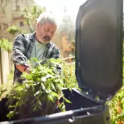 Gardeners Beware: Common Weeds Could Land You With £5,000 Fine and Criminal Record