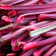 Gardeners, Beware! This Simple June Mistake Could Destroy Your Lawn