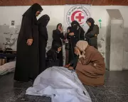 Gaza Ceasefire on Knife-Edge: Palestinians Fear Return to Conflict Amid Fragile Truce