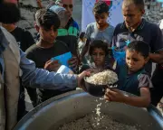 Gaza Ceasefire Talks Intensify Amid Humanitarian Catastrophe and Mounting Pressure on Netanyahu