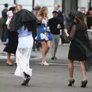 Geelong Races Cancelled After Horse Deaths Spark Safety Review