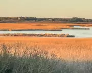 Germany's Gas Gamble: Climate Targets at Risk as LNG Rush Threatens UNESCO Wadden Sea