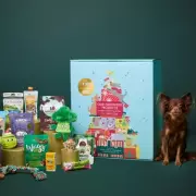Giant Dog Advent Calendar Goes Viral: Don't Miss This Pawsome Christmas Deal