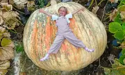 Giant Pumpkin Twins Smash World Record With Mammoth 2,749lb Whopper