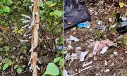 Glasgow's 'Tree of Hell': Shocking Drug Den Discovered in City Centre with Heroin Syringes Hanging from Branches