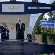 Goffs' Revolutionary £2.5m Ascot Auction Set to Transform QIPCO Champions Day