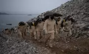 Guano Gold Rush: The Perilous Lives of Peru's Seabird Miners