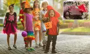Halloween Horror: Police Issue Urgent Warning After Needles Found in Sweets in American Town