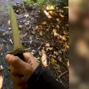 Harrowing Murder: Teenager Mohammed Umar Jailed for Brutal Killing of Harvey Willgoose in South London