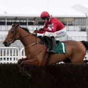 Harry Cobden's 2024 Racing Secrets: The Jockey's Top Horses To Follow This Season