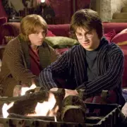 Harry Potter's Most Obscure Character Has A Shockingly Impressive Real-Life CV