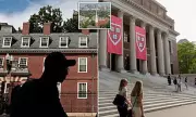 Harvard's Diversity Dilemma: Black Student Numbers Plummet Following Affirmative Action Ban