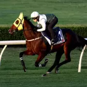 Hayes' Everest Dream: British Jockey Targets Historic Sydney Sprint Crown