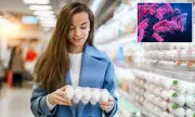 Health Alert: Massive Egg Recall Expands to 6 Million Cartons Over Deadly Bacteria Fears