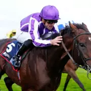 Heartbreak for Racing Fans as Derby Hope Delacroix Retires After Devastating Injury