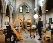 Hermes Experiment's 'Tree': A Captivating Journey Through Nature's Soundscape