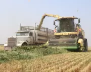 Hidden US Tariffs Force European Farm Giant Krone to Halt American Exports