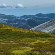 Hikers' Horror Find: Two Bodies Discovered in Remote Mountain Area