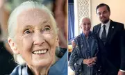 Hollywood's Heartfelt Tributes: DiCaprio, Alba Lead Stars Honouring Jane Goodall's 90th Birthday