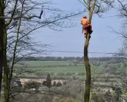 HS2's Hidden Toll: Chilterns Residents Suffer 'Living Nightmare' from Constant Construction