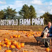 I Stayed at Adam Henson's Cotswold Farm Park - Here's Why It's Britain's Ultimate Family Escape