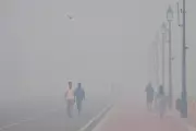 India's Air Pollution Crisis: WHO Reports New Delhi as World's Most Polluted City