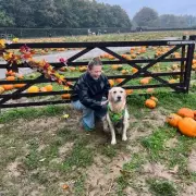 Inside Britain's Most Famous Pumpkin Farm: A Spooktacular Autumn Adventure Awaits