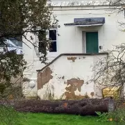 Inside Prince Andrew's Crumbling Royal Lodge: Damp, Decay and a £400k Repair Bill