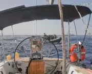 Israeli Navy Intercepts Final Pro-Palestinian Aid Vessel in Mediterranean Standoff