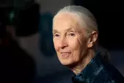 Jane Goodall Banned from Facebook in Shocking Case of Mistaken Identity
