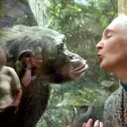 Jane Goodall Death Hoax: Primatologist Alive as False Rumours Spread Online