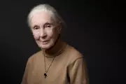 Jane Goodall Delivers Stark Warning: Trump, Musk and Putin Threaten Global Future
