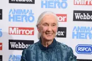 Jane Goodall Joins Greenpeace in Urgent Plea to World Leaders Ahead of Crucial UN Summit