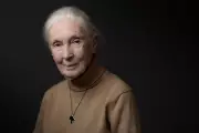 Jane Goodall's Final Warning: World Leaders Are Failing Us, Says Renowned Primatologist