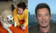 Jimmy Fallon's Family Tragedy: Beloved Dog Dies After 'Horrible Accident'