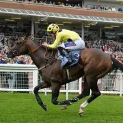 Jockey Clifford Lee's Terrifying Motorbike Ordeal: Racing Star's Miraculous Recovery After Horror Crash