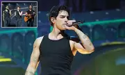 Joe Jonas Faces Cocaine Speculation After White Powder Incident at Concert - Singer Issues Firm Denial