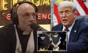 Joe Rogan's Explosive Interview: Donald Trump Reveals Radical ICE Immigration Overhaul Plan