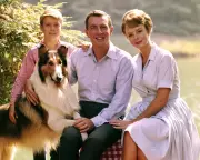 June Lockhart Dies at 99: Beloved Lassie Star and Hollywood Royalty Remembered