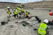 Jurassic Goldmine: Perfect Dinosaur Footprints Unearthed in Oxfordshire Quarry