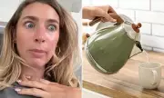 Kettle Calamity: Australian Woman's Shocking Discovery Sparks Hygiene Horror Across UK Kitchens