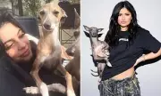 Kylie Jenner's Beloved Dog Norman Tragically Passes Away | Heartbreak for Reality Star