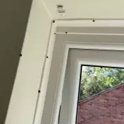 Ladybird Invasion Plagues UK Home: 'Every Surface Crawling' With Insects