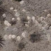 Las Vegas in Crisis: 300 Piles of Human Waste Found Beneath Highway Bridges