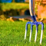 Lawn Care Secrets: Banish Moss Forever and Grow the Greenest Grass in Your Neighbourhood