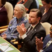 Leonardo DiCaprio's Heartfelt Tribute to 'Dear Friend' Martin Scorsese Following Oscar Snub